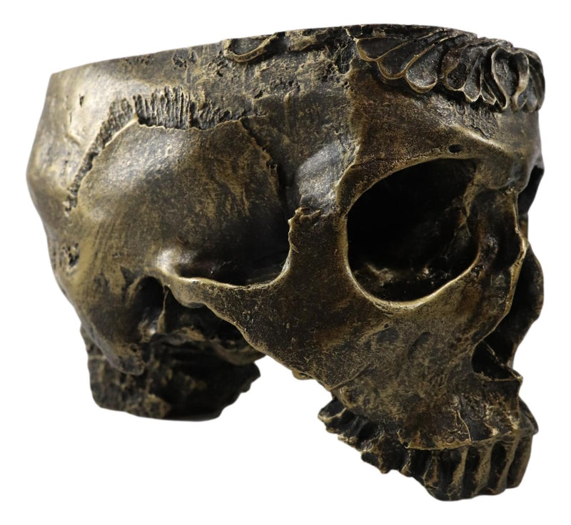 Ebros Day Of The Dead Barocco Floral Scroll Half Skull Planter Decor Bowl Figurine