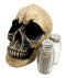 Ebros Scary Ossuary Human Skull Salt Pepper Shakers Holder Figurine 5.75" H