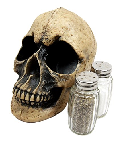 Ebros Scary Ossuary Human Skull Salt Pepper Shakers Holder Figurine 5.75" H