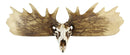 Rustic Western Moose Elk Skull With Point Hook Antlers Wall Floating Shelf 22"L
