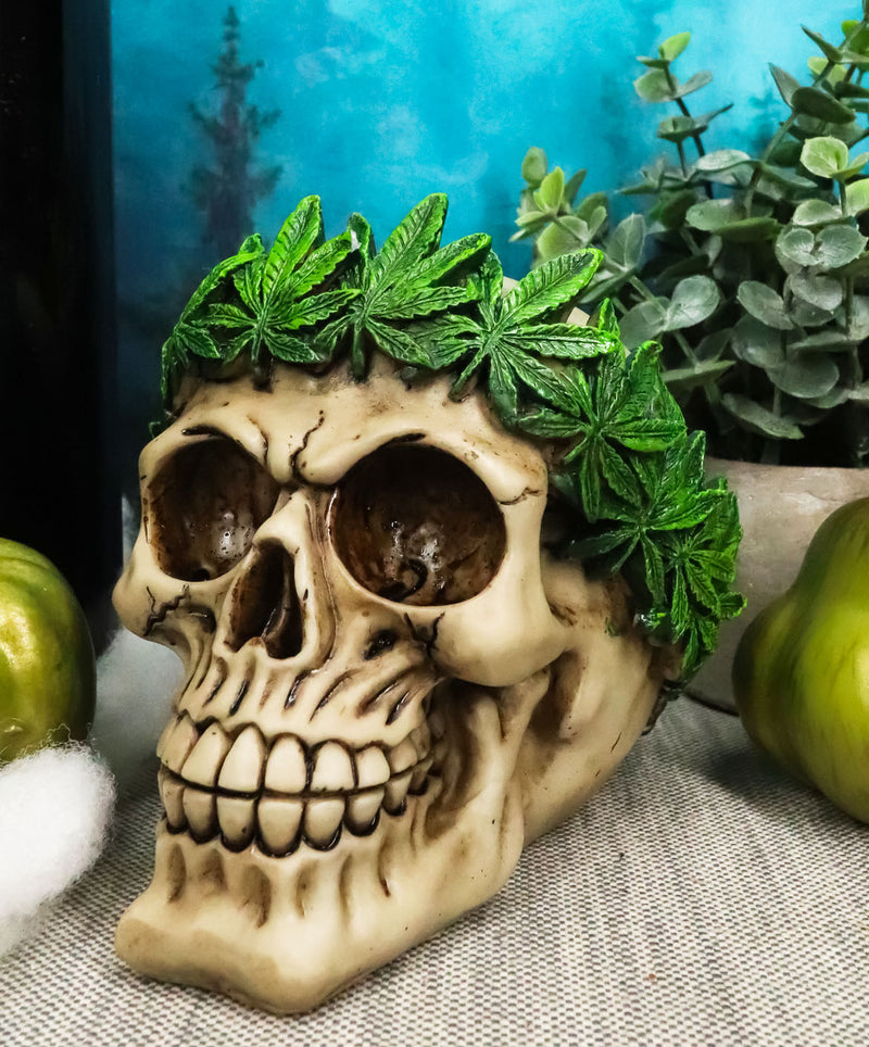 Pot Head Skull Statue 6"Long Gothic Skull With Weed Leaf Laurel Resin Figurine