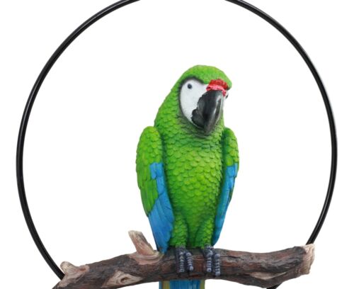 Hanging Military Macaw Parrot Perching on Branch in Metal Round Ring 13.5"H