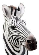 Madagascar Large Zebra Head Wall Decor Plaque 16"Tall Taxidermy Decor Sculpture