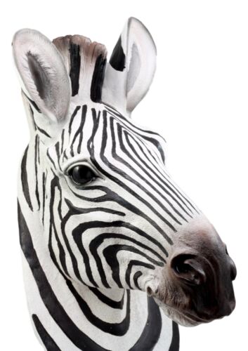Madagascar Large Zebra Head Wall Decor Plaque 16"Tall Taxidermy Decor Sculpture