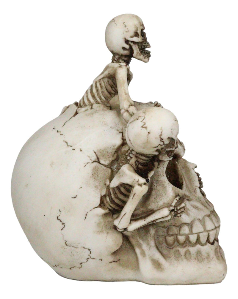 Grinning Jointed Cranium Skull With Triple Threat Skeletons Ossuary Figurine