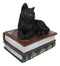 Wicca Mystical Black Cat Sitting On Book Of Spells Stack Decorative Jewelry Box