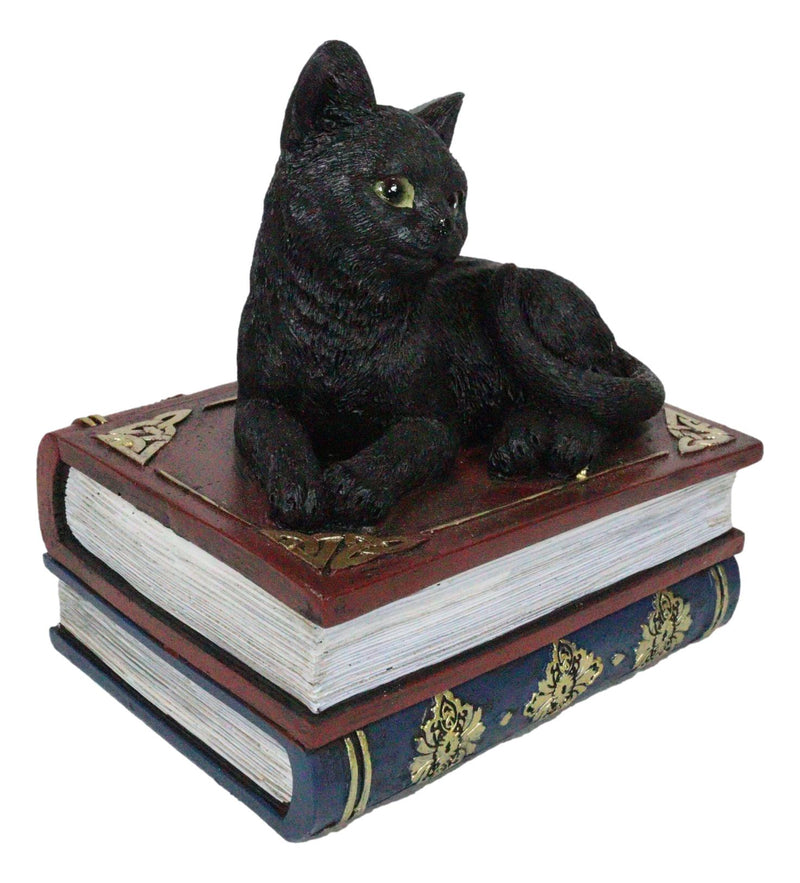 Wicca Mystical Black Cat Sitting On Book Of Spells Stack Decorative Jewelry Box