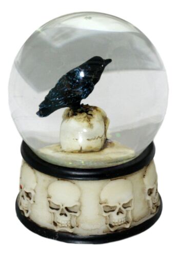 Small Gothic Day Of The Dead Edgar Allan Poe Raven On Skull Glitter Water Globe
