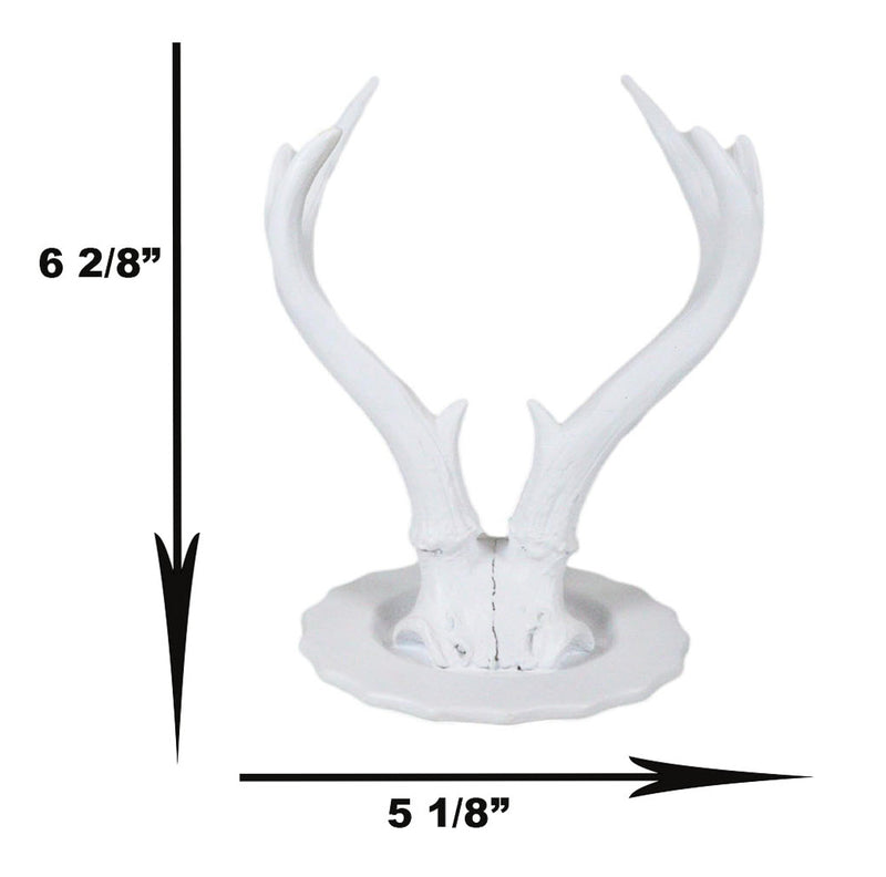Contemporary Chic Rustic White Double Buck Deer Stag Antlers Jewelry Tree Holder