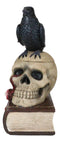Gothic Crow Perching On Books And Skull With Plucked Eye Decorative Jewelry Box