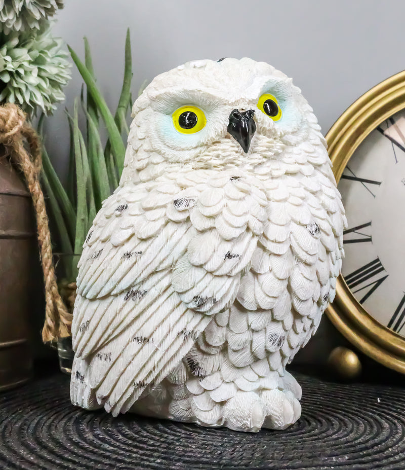 Arctic Tundra White Snow Owl Chick Cute Figurine 6"H Collectible Sculpture