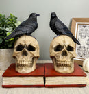 Ebros Raven Crow Perching On Skull with Ancient Book Bookends Set 7.5" Tall