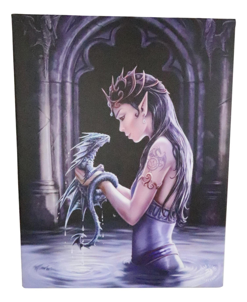 Ebros Anne Stokes Water Dragon Elf Fairy Drake Wood Framed Picture Canvas Wall Decor