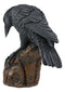 Perching Raven On Rock Statue 5" Tall Gothic Crow Scavenger Bird Decor Figurine