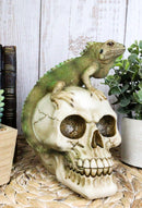 Jointed Human Skull With Iguana Lizard Figurine Halloween Spooky Macabre Decor