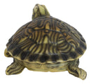 Lifelike Yellow Bellied Slider Turtle Tortoise Figurine 4.75"L Zen Feng Shui