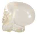 Ebros Small Clear Translucent Extraterrestrial ET Alien Skull Sculpture Predator UFO Cranium Statue Collectible 3.5"L