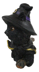 Halloween Black Cat with Witch Hat & Cape Flying On Magical Broomstick Figurine
