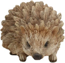 Ebros Tiki Totem Baby Hedgehog Garden Resin Statue 5.75"L Faux Driftwood Finish