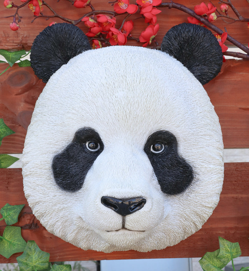 Kung Fu Master Po Large Giant Panda Bust Wall Decor Plaque 12.75"Tall Taxidermy