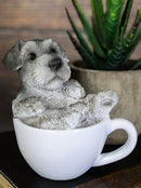 Ebros Realistic Mini Adorable Schnauzer Teacup Statue 3"H Pet Pal Dog Breed Figurine