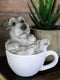 Ebros Realistic Mini Adorable Schnauzer Teacup Statue 3"H Pet Pal Dog Breed Figurine