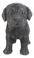 Ebros 6.25"L Realistic Chocolate Labrador Puppy Resin Figurine
