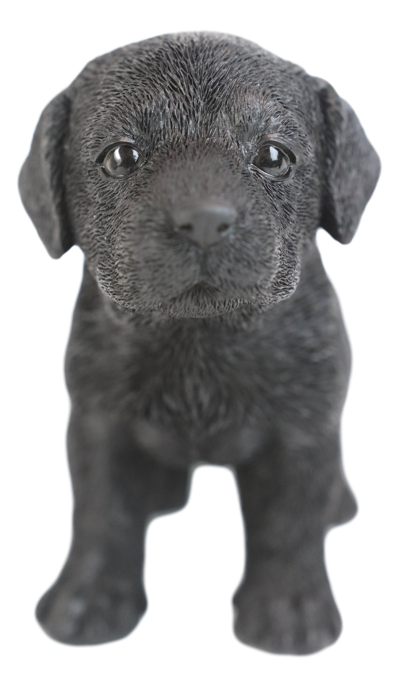 Ebros 6.25"L Realistic Chocolate Labrador Puppy Resin Figurine