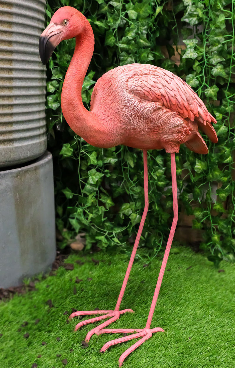 27" Tall Realistic Zen Graceful Tropical Pink Flamingo Standing in Repose Statue