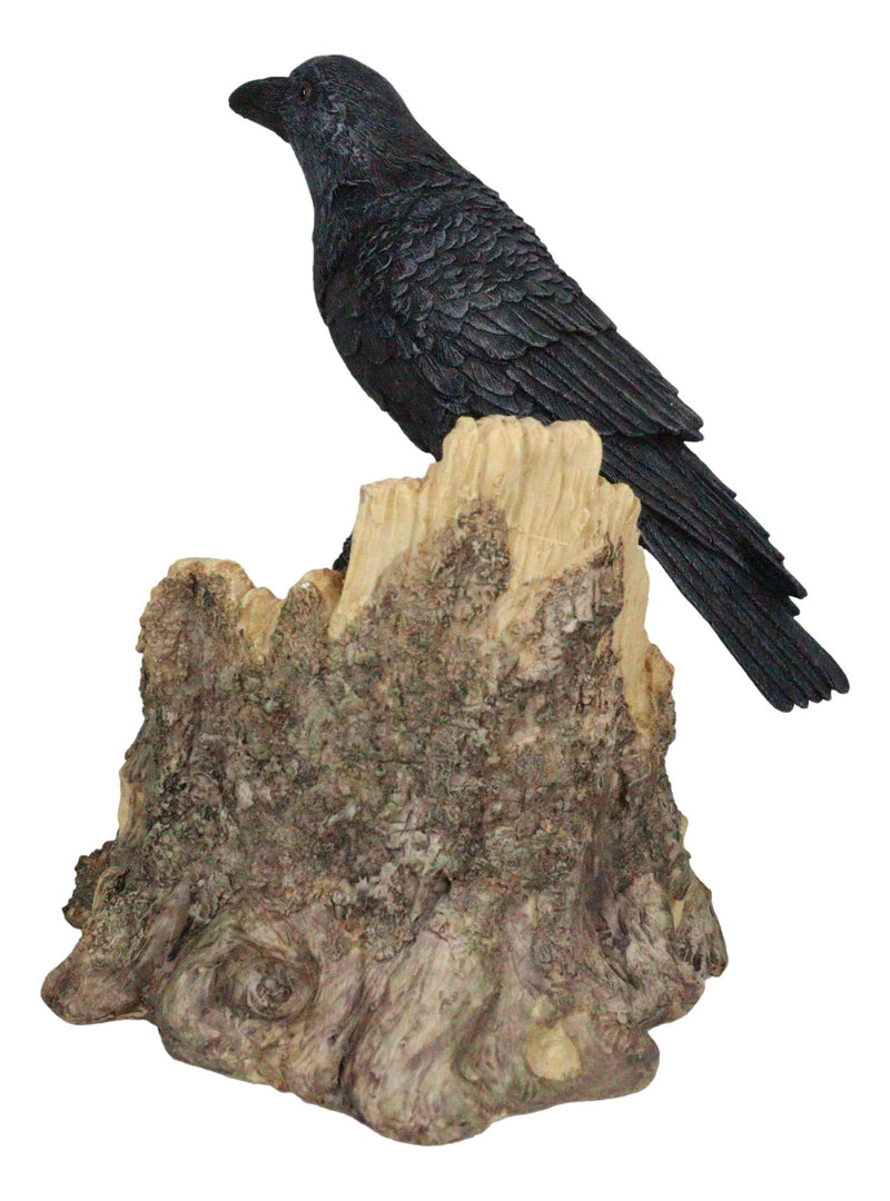 Macabre Potion Raven Crow Nevermore Perching On Tree Stump Wine Bottle Holder