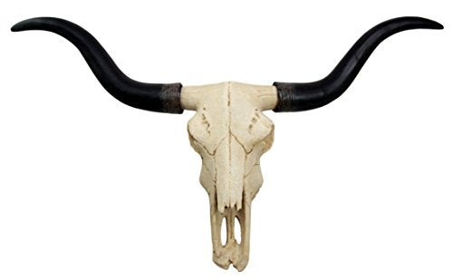 Ebros Texas Longhorn Steer Cattle Cow Skull Wall Hanging Plaque Figurine 21"L - Ebros Gift