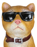 No Pussies Here! Tabby Cat With Shades Flipping The Bird Middle Finger Figurine