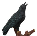 Ebros Crowing Raven Perched On Tree Branch 8.25" Tall Scavenger Bird Figurine