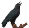 Ebros Crowing Raven Perched On Tree Branch 8.25" Tall Scavenger Bird Figurine