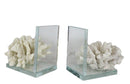 Nautical Coastal Marine White Sea Finger Corals Acrylic Glass Bookends Set