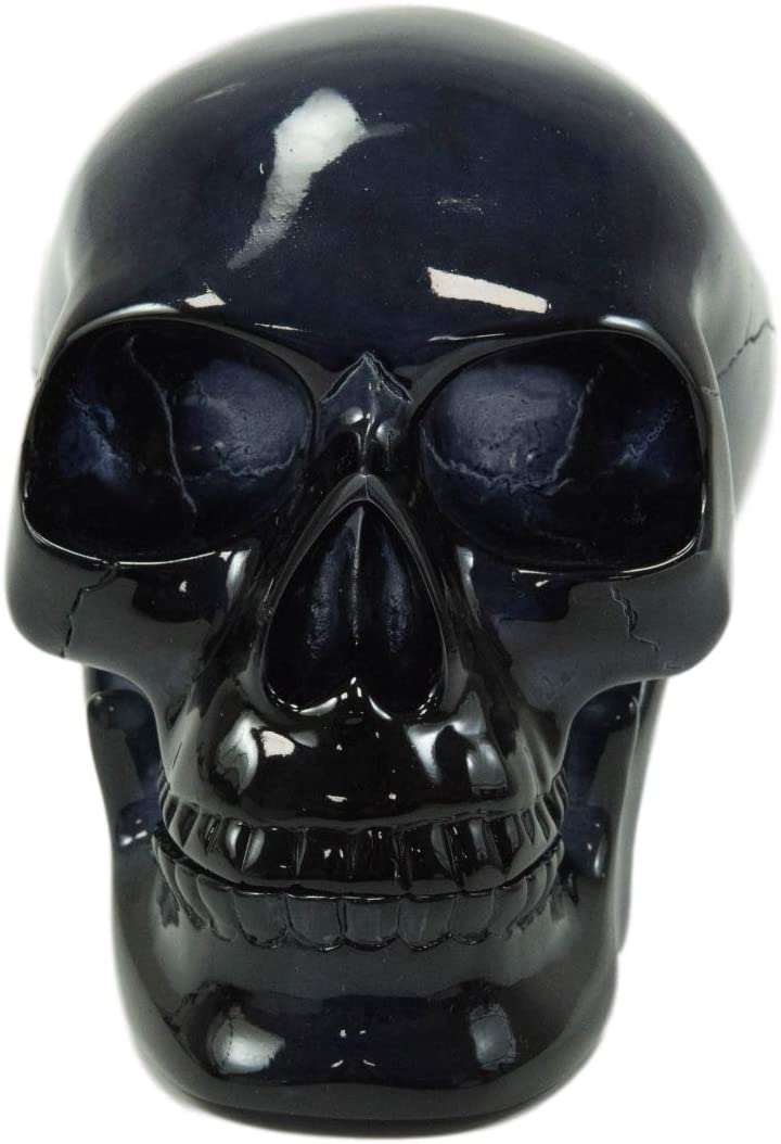 Ebros Black Translucent Jointed Cranium Skull Statue with Removable Jaw Bone