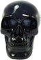 Ebros Black Translucent Jointed Cranium Skull Statue with Removable Jaw Bone