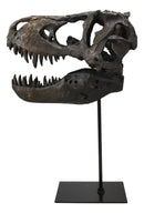 Jurassic Tyrannosaurus Rex T-Rex Faux Fossil Skull With Pole Display Mount 11.5"