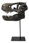 Jurassic Tyrannosaurus Rex T-Rex Faux Fossil Skull With Pole Display Mount 11.5"
