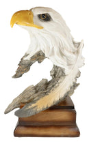 Ebros Large Glorious Surveyor Of Horizons Grand Bald Eagle Bust Statue Decor Figurine
