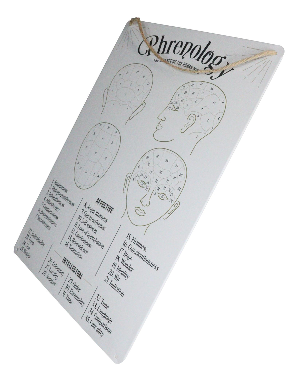 Gothic Wicca Phrenology Alternative Science Of Human Mind Metal Wall Sign Decor
