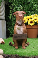 Ebros Lifelike American Pit Bull Pet Dog Statue W/ Jingle Collar And Sign 13"H