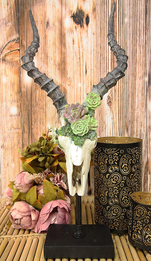 Ebros Western Vintage Aged Faux Taxidermy Greater Kudu Antelope Animal Totem Skull Head with Painted Flowering Succulents On Museum Gallery Mount Decor 3D Statue Replica Skulls Plaque Sculpture