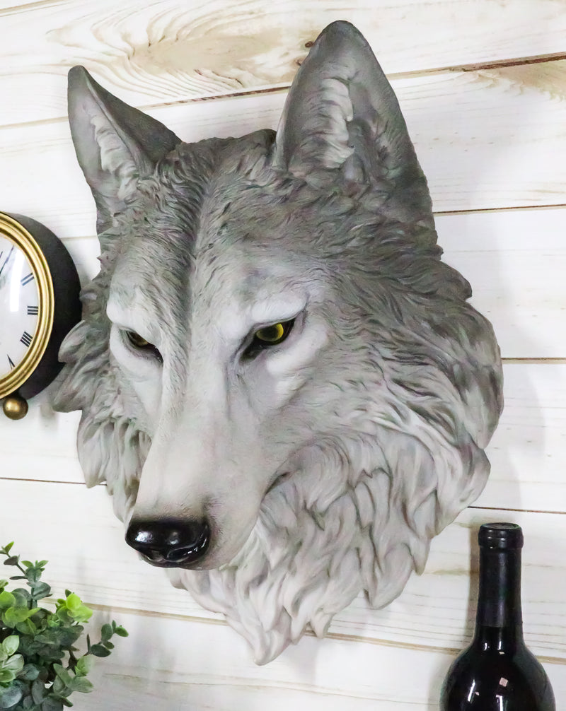 Large Gray Timber Wolf Head Wall Decor Plaque 16.5"Tall Taxidermy Art Decor