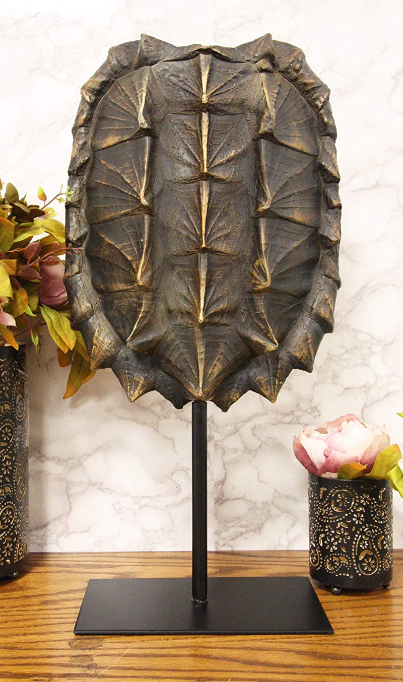 Turtle Shell Display Stand Ebros Large Nautical Reptile Alligator Snapping Turtle Shell Sculpture ...