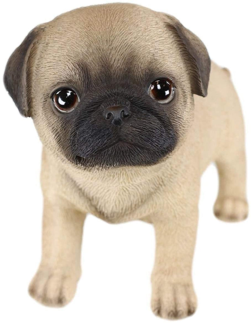 Ebros Realistic Adorable Fawn Pug Puppy Dog Figurine 5"L Pet Pal Pugsy