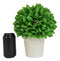 Home And Garden 10"H Green Artificial Faux Boxwood Topiary Ball In Vase Pot