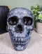 Ebros Black Astrology Paranormal Ouija Spirit Skull Statue 8.5"L Supernatural