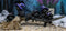 Halloween 5 Black Kitten Cats With Witch Hat Riding Magical Broomstick Figurine