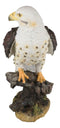 Ebros Wildlife Red Tailed Hawk On Tree Stump Statue Birds Of Prey Figurine 10"H